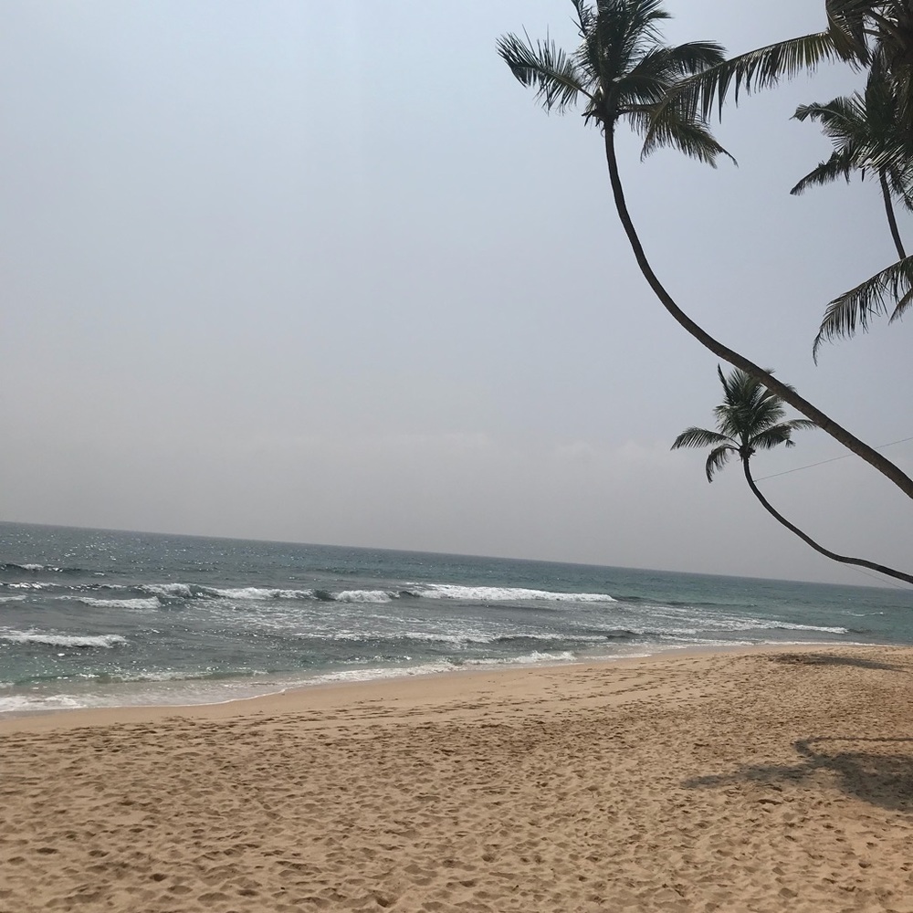 Meet your Posher, Bre